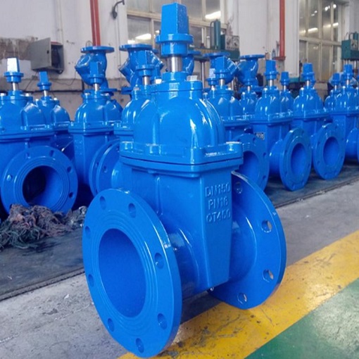 NRS gate valves with stem cap.