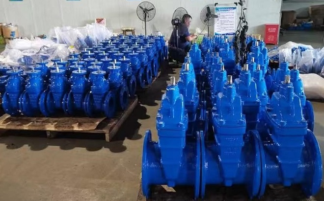 BS 5163 NRS gate valves
