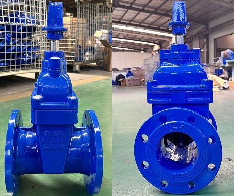 Stem cap fitted gate valves.