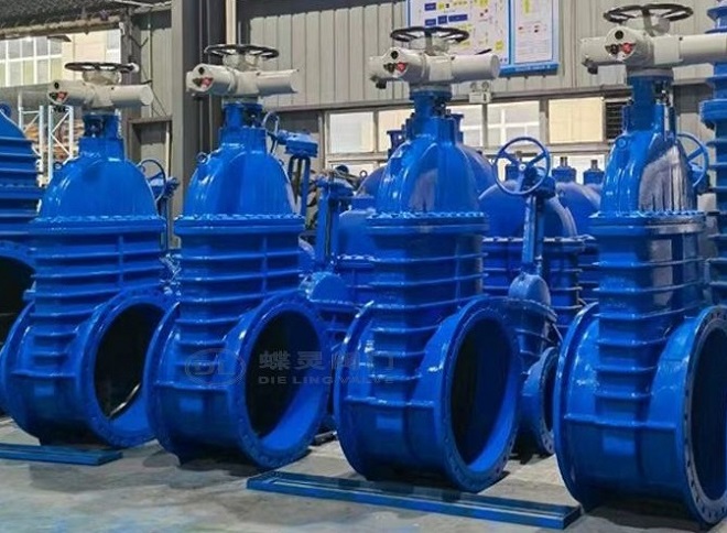 EN 558 Series 14 FF, 30" NRS gate valves, motor operated.