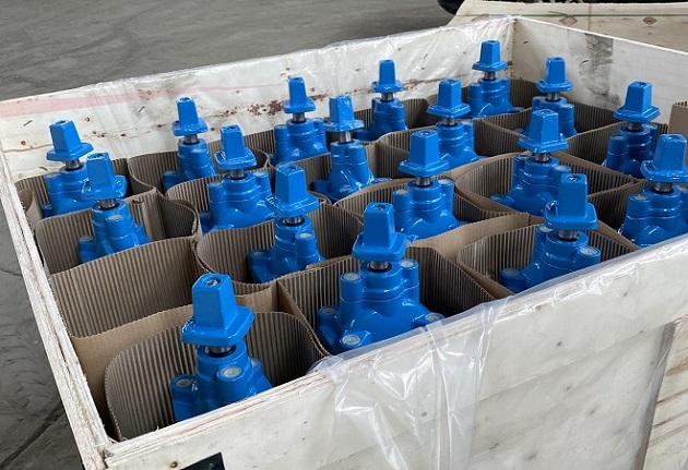 cap top NRS gate valves to Cape Town.