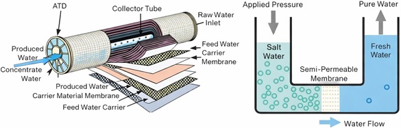 structure & working principle of RO membrane.